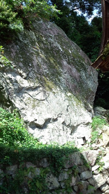f:id:mayan555:20220524195700j:image