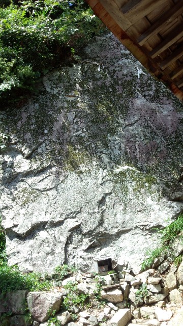 f:id:mayan555:20220524195839j:image