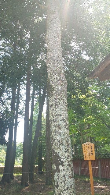 f:id:mayan555:20220524210535j:image