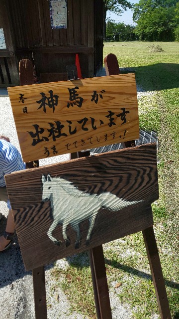 f:id:mayan555:20220613163013j:image