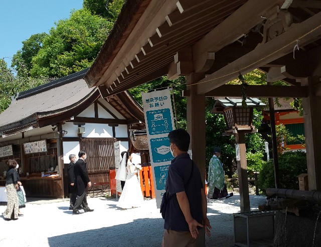 f:id:mayan555:20220613170854j:image
