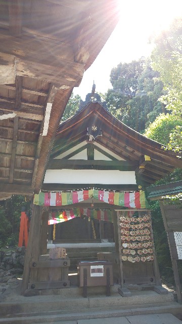 f:id:mayan555:20220616173044j:image