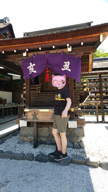 f:id:mayan555:20220618192257j:image
