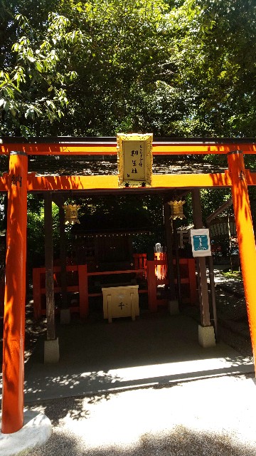f:id:mayan555:20220618195010j:image