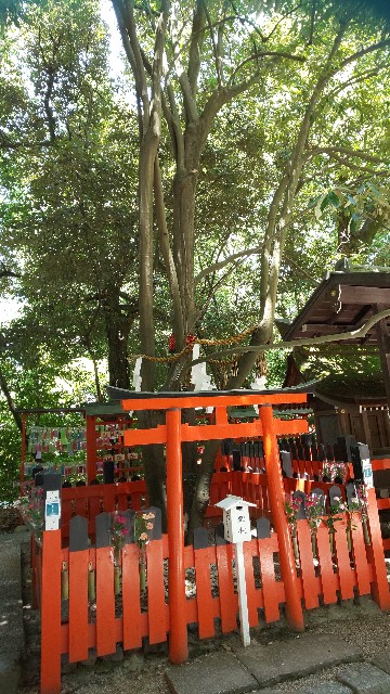 f:id:mayan555:20220618200701j:image