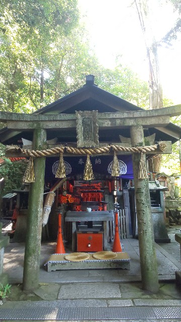 f:id:mayan555:20220921084243j:image