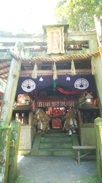 f:id:mayan555:20220921084341j:image