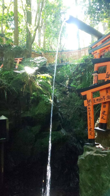 f:id:mayan555:20220921084357j:image