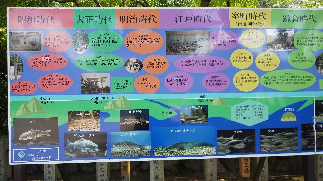 f:id:mayan555:20221001130503j:image