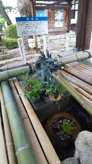 f:id:mayan555:20221001130606j:image