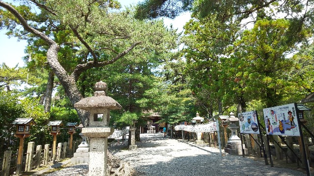 f:id:mayan555:20221001130710j:image