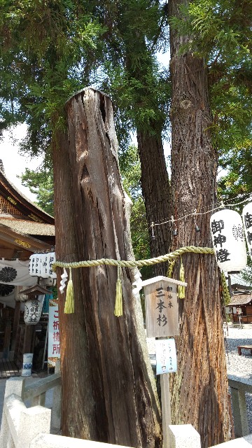 f:id:mayan555:20221005172051j:image