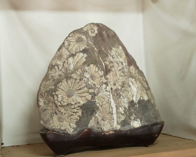 f:id:mayan555:20221005174053j:image