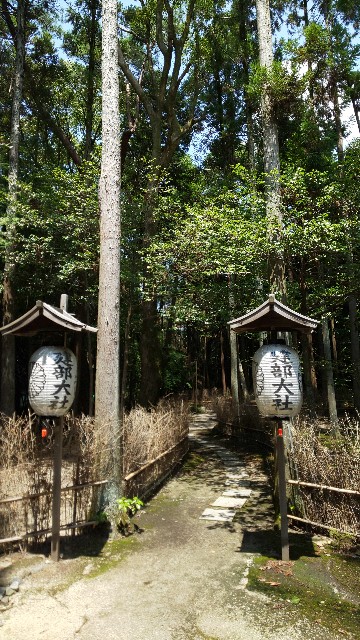 f:id:mayan555:20221005174528j:image