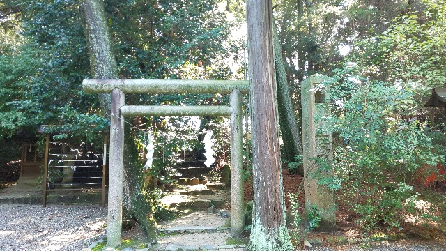 f:id:mayan555:20221019160554j:image