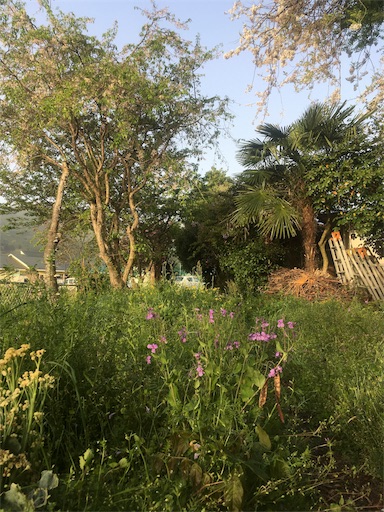 f:id:mayataro811:20180523224344j:image f:id:mayataro811:20180523224344j:image