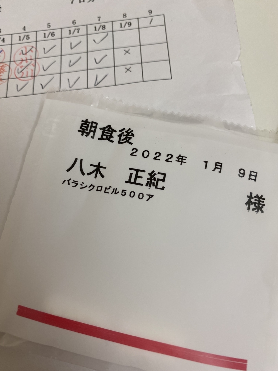 f:id:maybamu:20220111201635j:plain