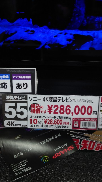 f:id:maychel130:20240103162927j:image