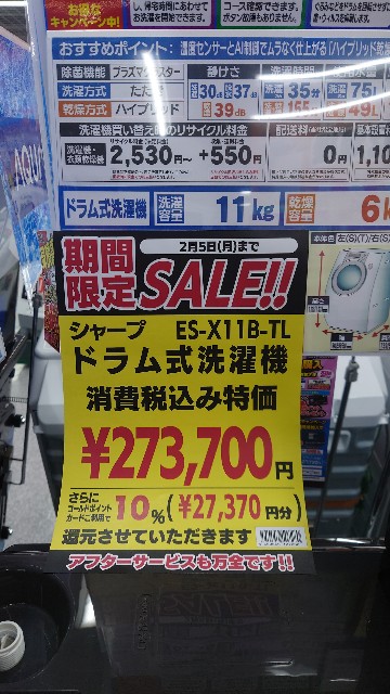 f:id:maychel130:20240212161443j:image