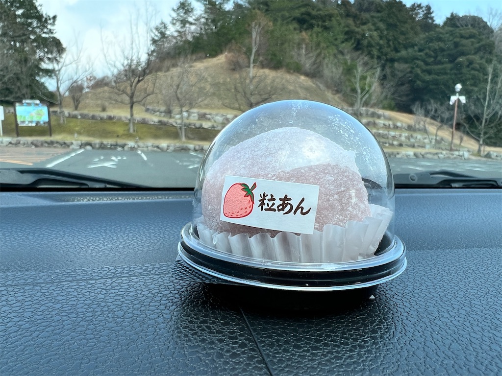 f:id:maychigocake329:20220326224947j:image