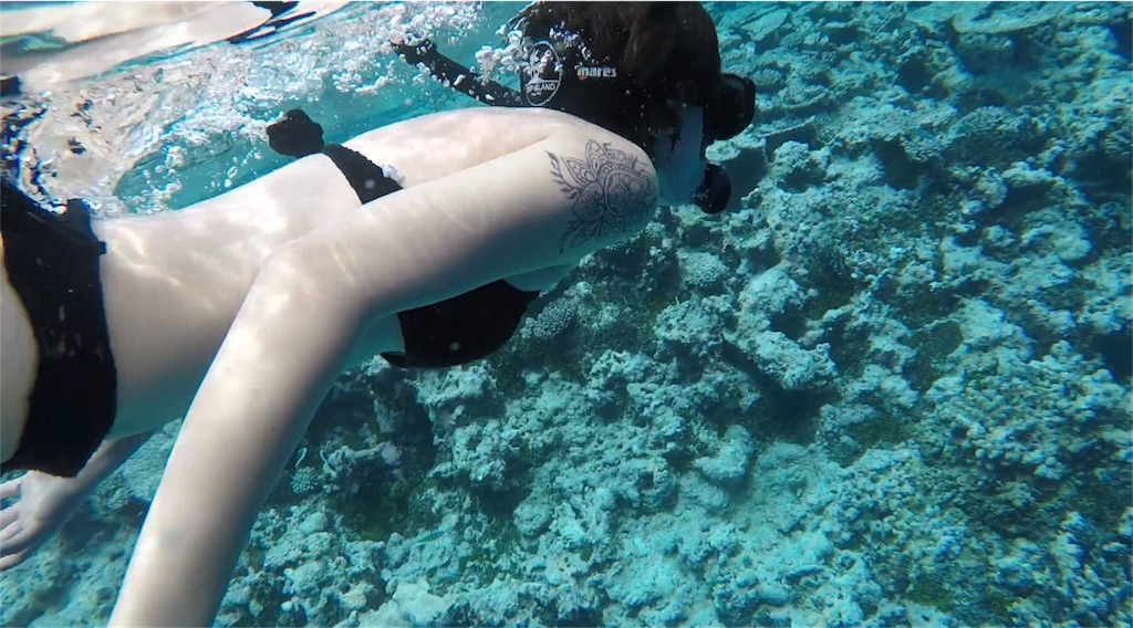 f:id:maymay55:20180503010802j:image