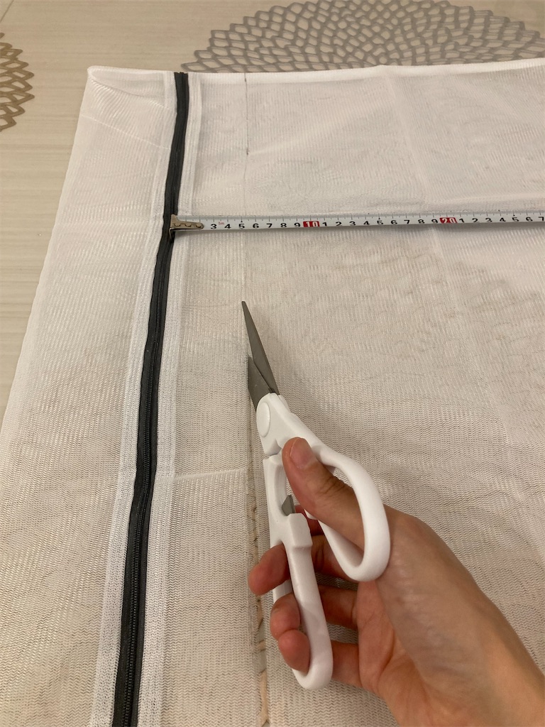 f:id:maymaychang:20210923205117j:image