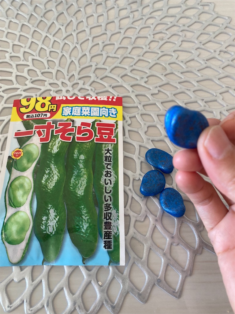 f:id:maymaychang:20211003210642j:image