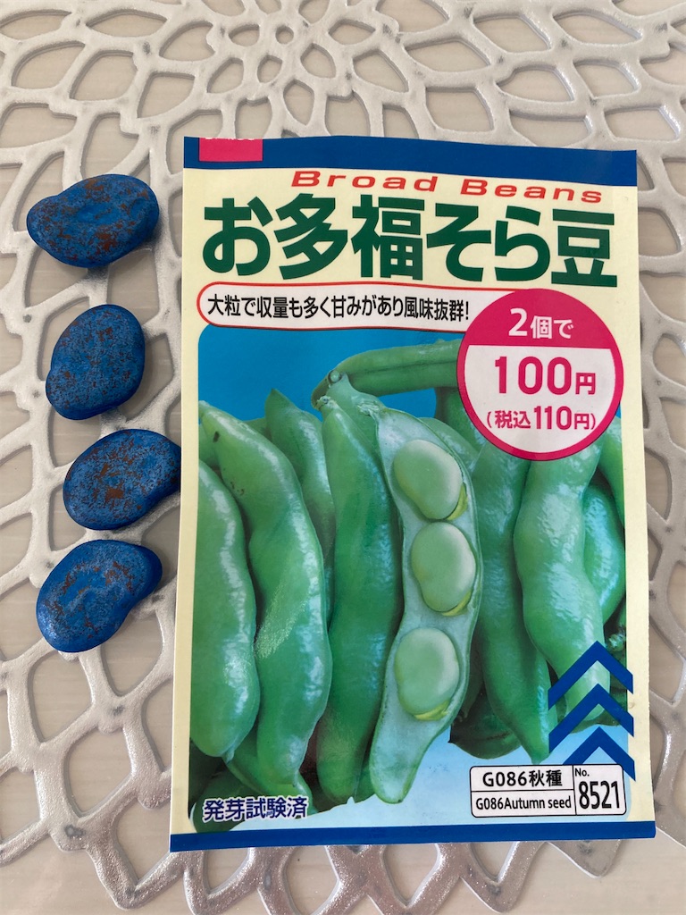 f:id:maymaychang:20211016174729j:image