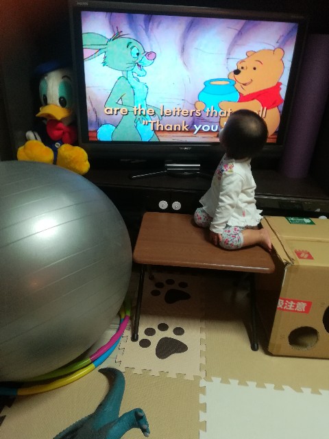 f:id:mayoblue:20190601060601j:image f:id:mayoblue:20190601060601j:image
