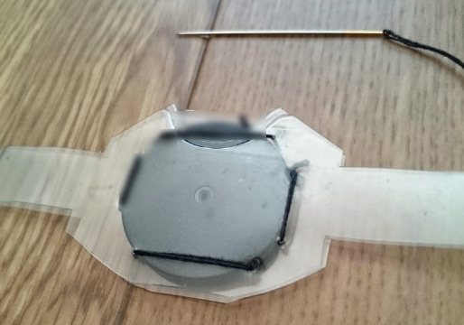 f:id:mayoi_inu:20150420221455j:plain