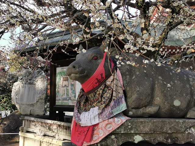 f:id:mayoichu:20230212174858j:image