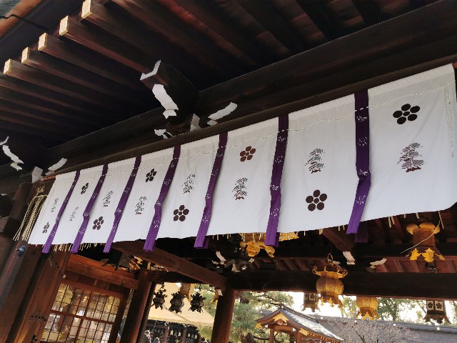 f:id:mayoichu:20230212175737j:image