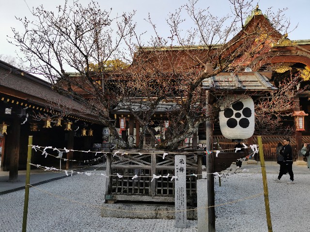 f:id:mayoichu:20230212175757j:image