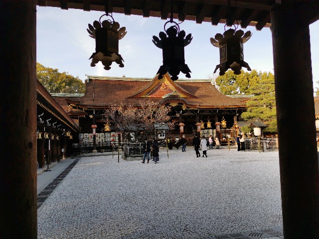 f:id:mayoichu:20230212180150j:image