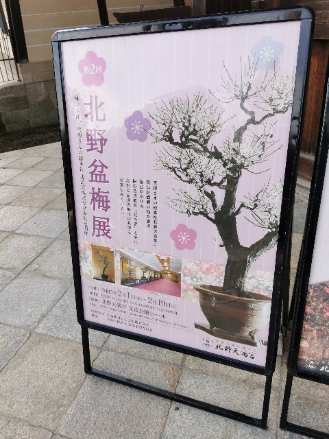 f:id:mayoichu:20230212180224j:image