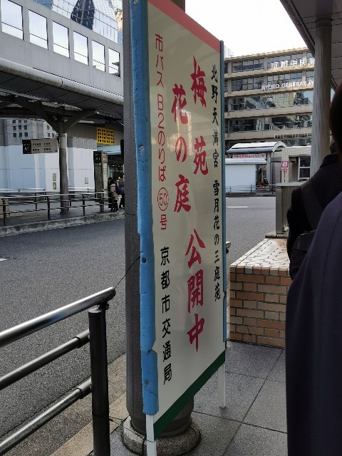 f:id:mayoichu:20230212181338j:image