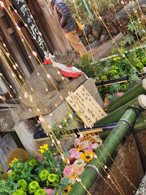 f:id:mayoichu:20230213103558j:image