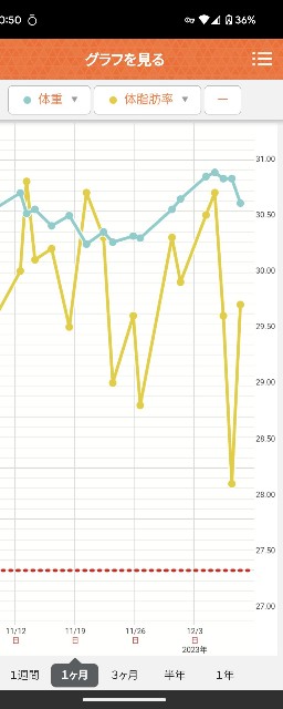 f:id:mayoichu:20231210205739j:image