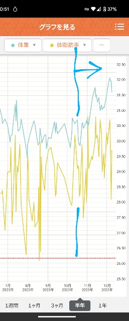 f:id:mayoichu:20231210205809j:image