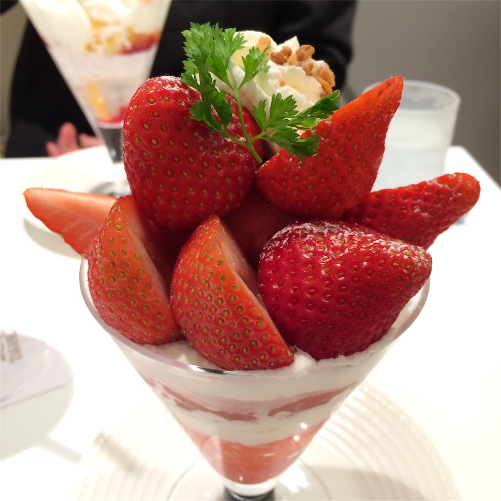 f:id:mayoinekoark:20160420155320j:image f:id:mayoinekoark:20160420155320j:image