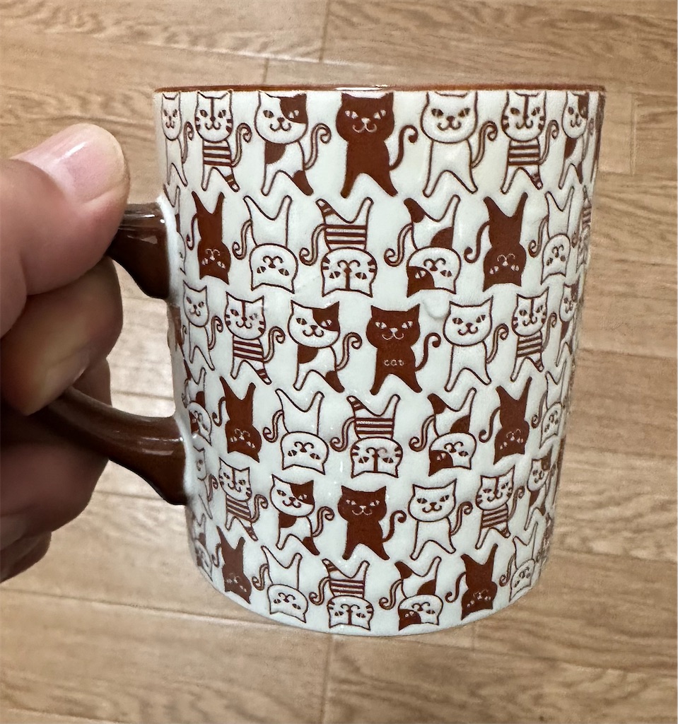 f:id:mayoinekobujikaeru:20240511135643j:image