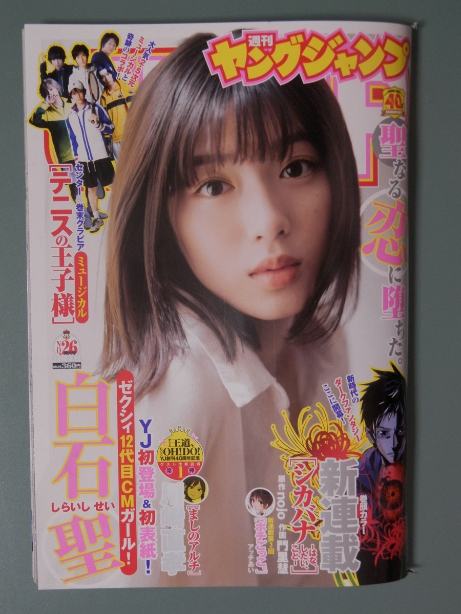 f:id:mayokoi:20190601022115j:plain
