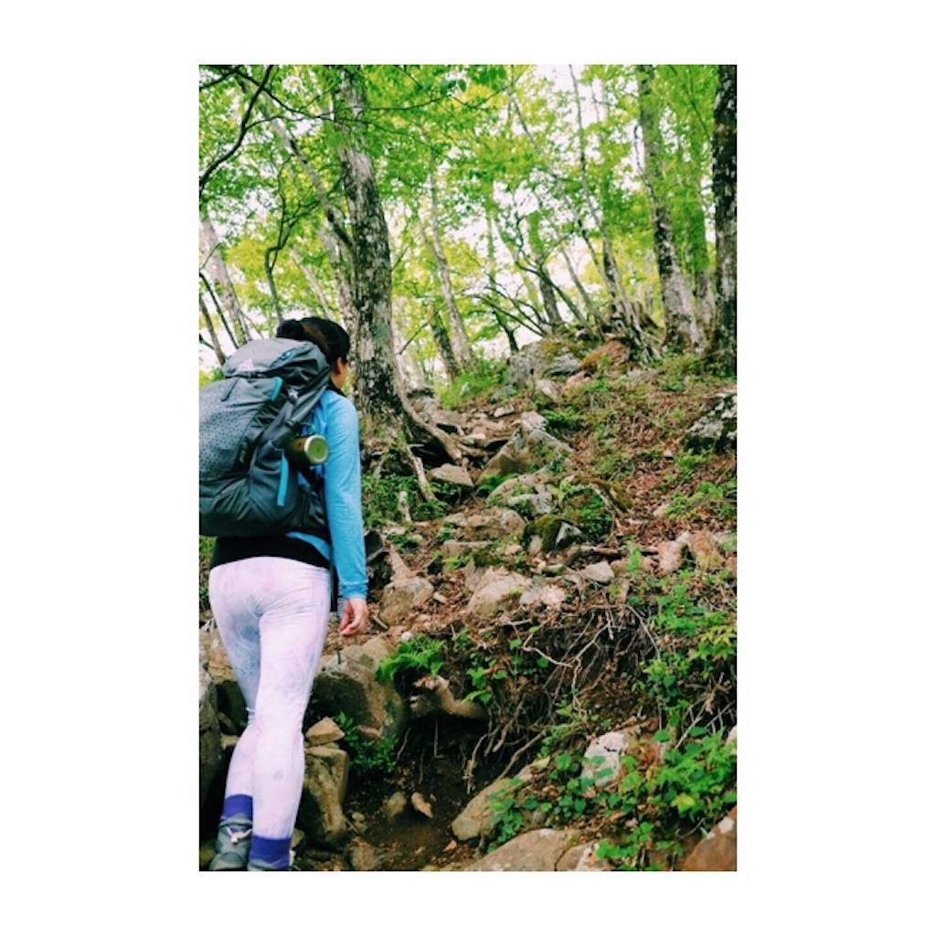 f:id:mayonaca_curi:20190620085911j:image f:id:mayonaca_curi:20190620085911j:image