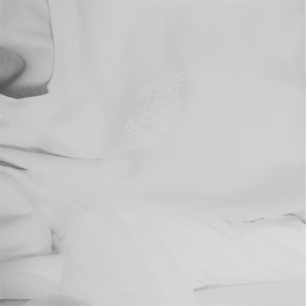 f:id:mayonakanonami:20171017031332j:image f:id:mayonakanonami:20171017031332j:image