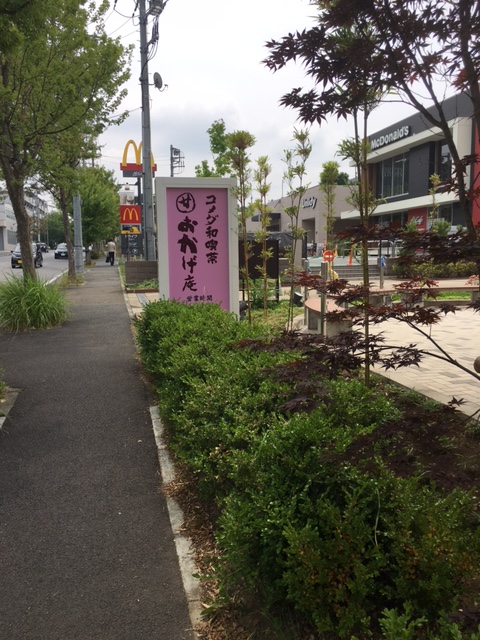 f:id:mayonezu2015:20170601175110j:plain