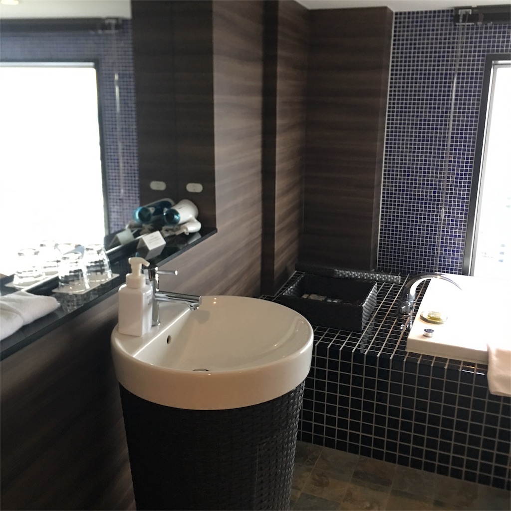 f:id:mayonezu2015:20180227235049j:image