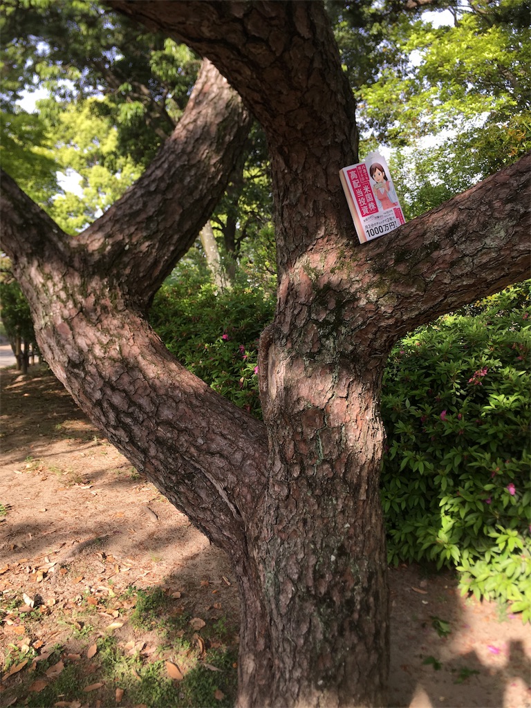 f:id:mayonezu2015:20180506210952j:image