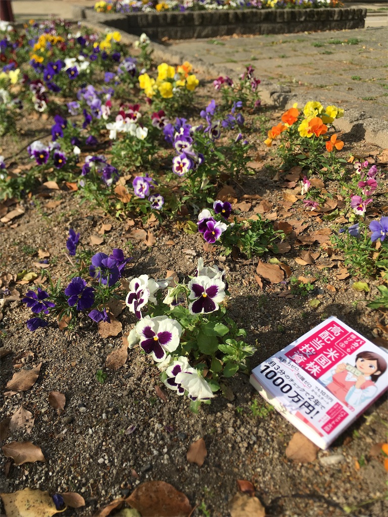 f:id:mayonezu2015:20180506211058j:image