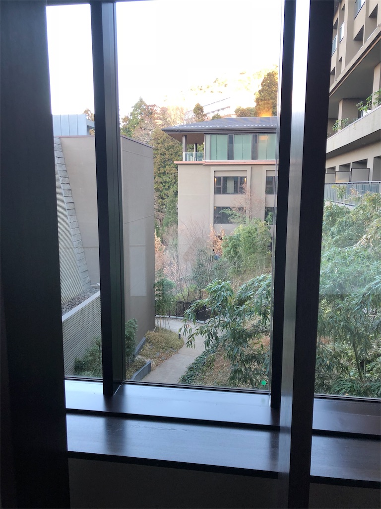 f:id:mayonezu2015:20190113163209j:image