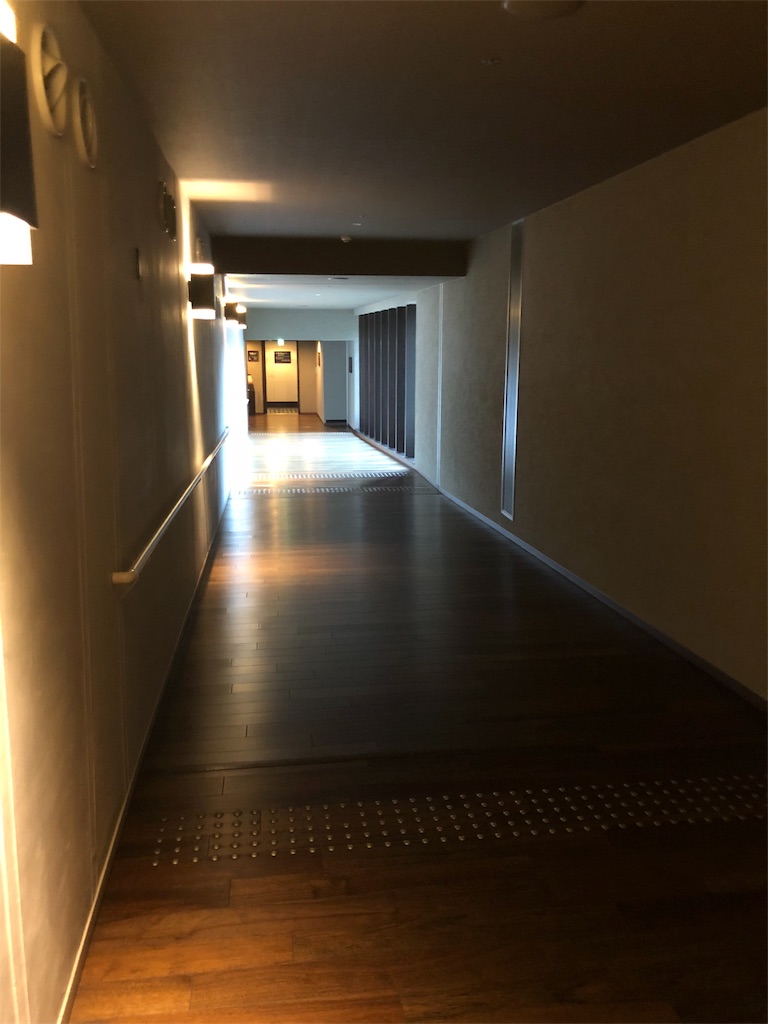 f:id:mayonezu2015:20190113163233j:image